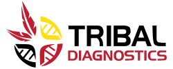 sb-customer-tribal-diagnostics-logo Tribal Diagnostic's Logo